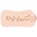 Image de X-TREME ENTRY