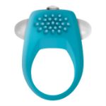 Image de TEAL TICKLER