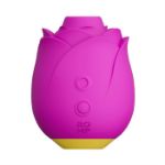 Image de Romp Suction Rose